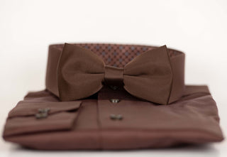 Brown bow tie